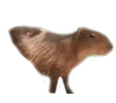 Crypto Animal 6